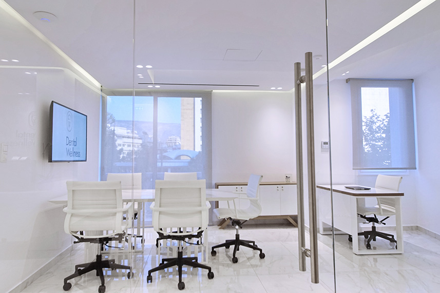 DENTALWELLNESS MEETING